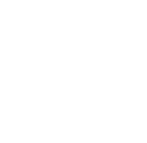 20 Jahre STRATEGIE
